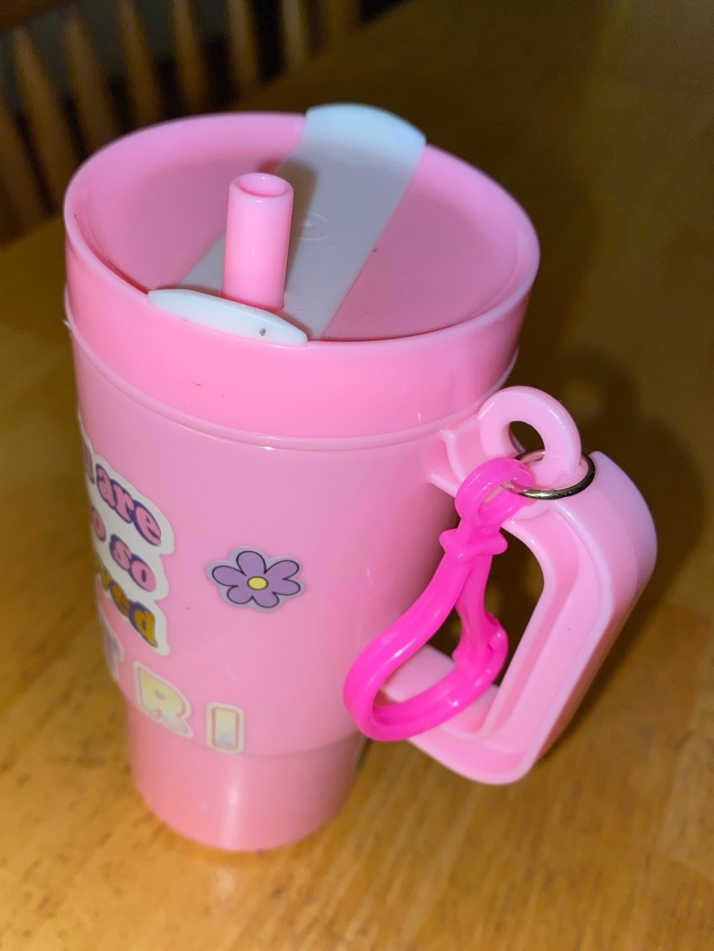 Horizon Group brand personalized mini pink tumbler (not for drinking)